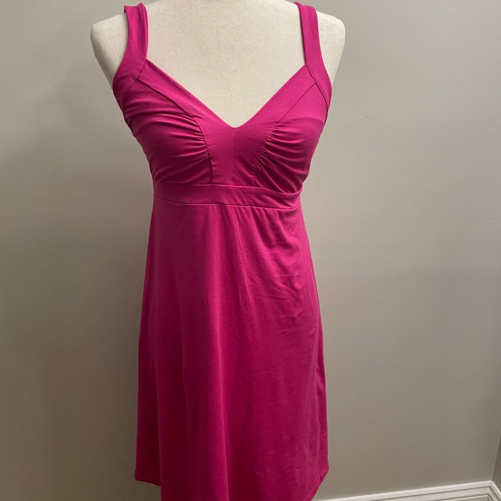 Patagonia Women's Pink dress